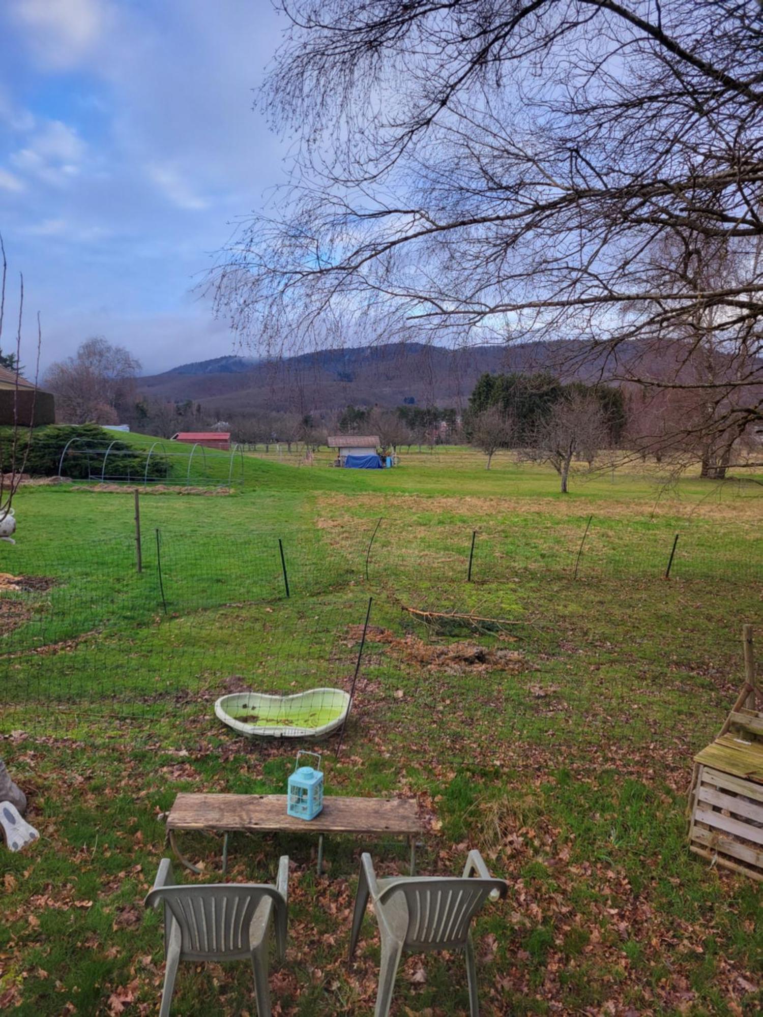 La Roulotte Tiny House Du Mond'Ideal Leval  Zimmer foto